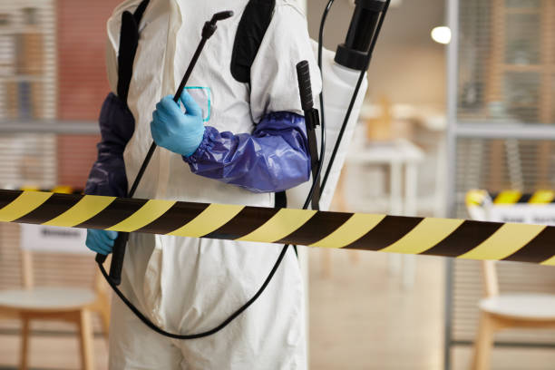 Professional Hoarding Cleanup technician working in Bailey Island, ME