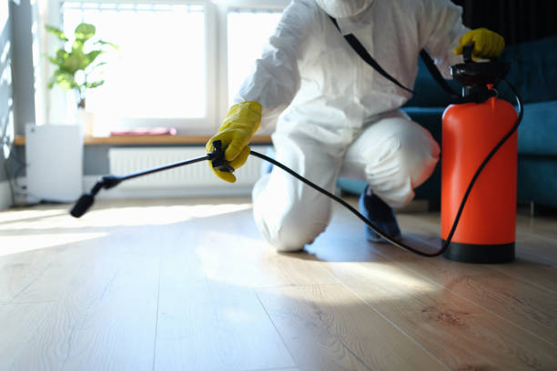 Trusted Hoarding Cleanup service in Bailey Island, ME - Four Month Blood Cleanse